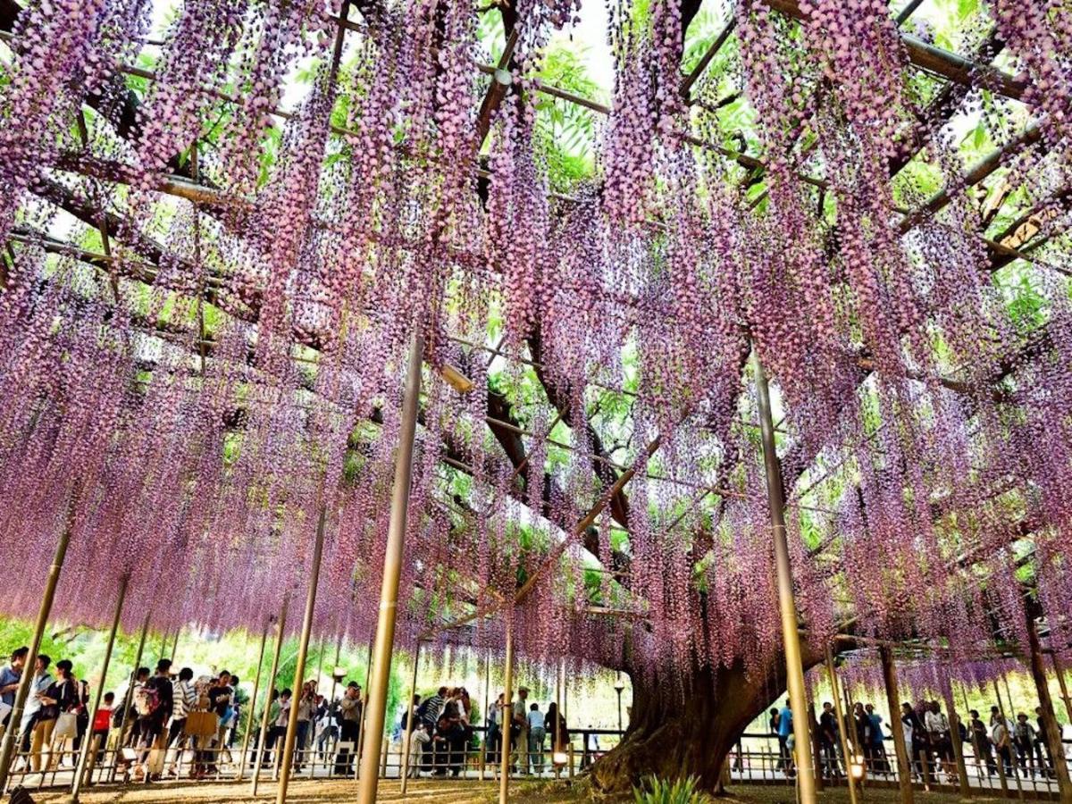 Отель Nasushiobara Ichimantei Экстерьер фото